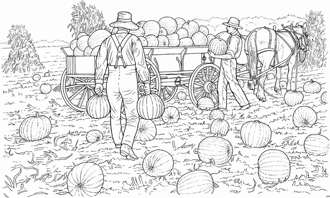 Melonenernte auf dem Feld Malvorlage