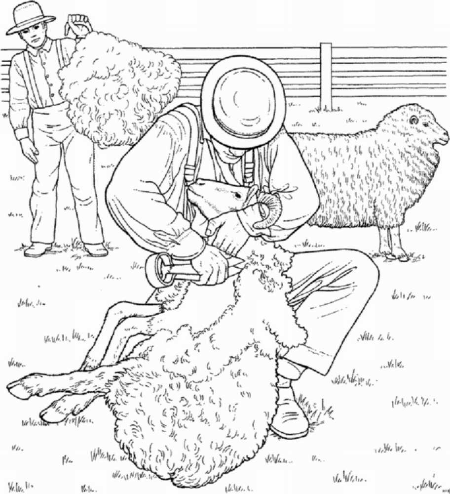 Schäfer beim Schafe scheren Malvorlage